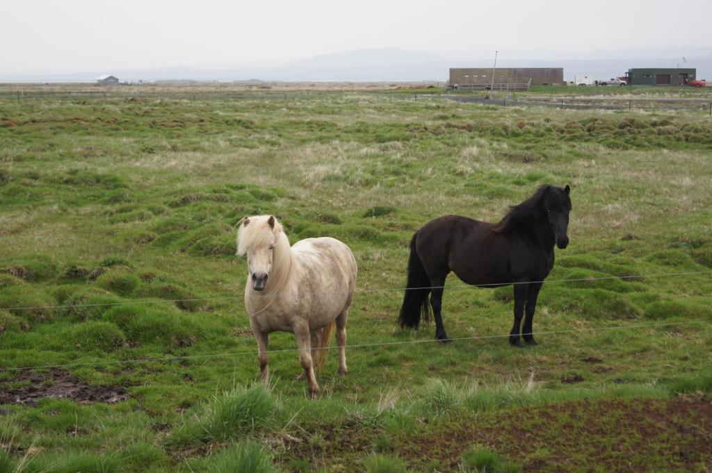 Guesthouse Nordheimar Selfoss Eksteriør billede